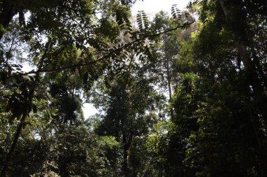 Seul şehri açık bir günde görülüyor.