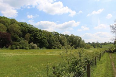İngiltere 'nin zirvedeki bölgesinin kırsal kesimini araştırıyorum.