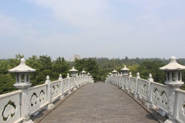 Güney Kore 'deki Jeju Adası' ndaki Cheonjeyon Şelalesi çevresindeki ormanlar.