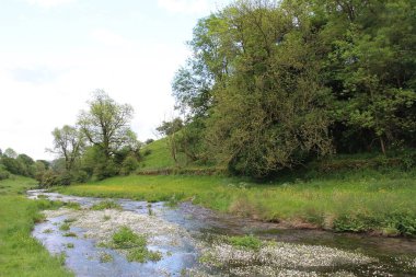 İngiltere 'nin zirvedeki bölgesinin kırsal kesimini araştırıyorum.