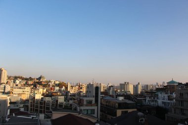 Güney Kore 'deki Namsan Park' tan Seul manzarası