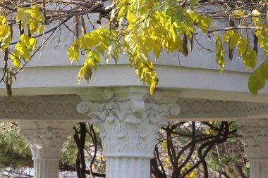 Sonbaharda Seul 'un ortasında Namsan Parkı' nı keşfetmek.