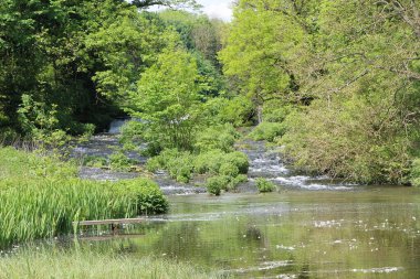 İngiltere 'nin zirvedeki bölgesinin kırsal kesimini araştırıyorum.