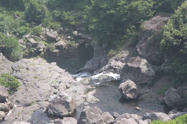 Bosques Alrededor Cheonjeyeon Falls Isla Jeju Corea Del Sur — Foto de Stock