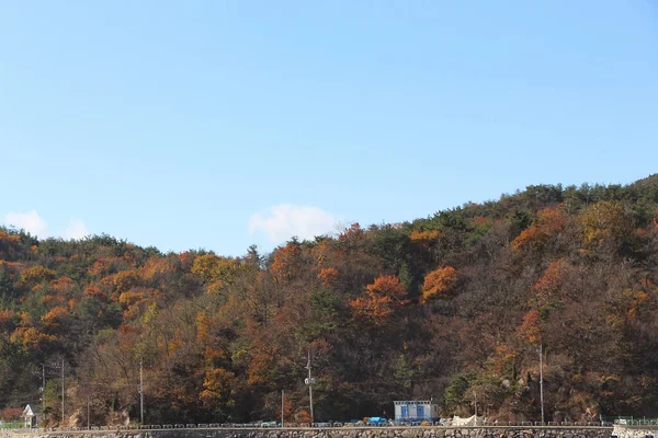 Capturando Tranquilidade Ilha Paz Muui Por Incheon Fora Seul Coreia — Fotografia de Stock