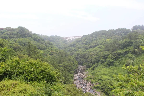 Wälder Rund Cheonjeyeon Falls Auf Der Insel Jeju Südkorea — Stockfoto