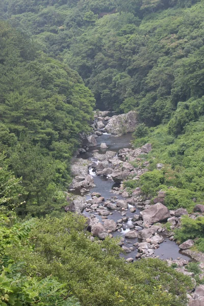Forêts Autour Cheonjeyeon Falls Sur Île Jeju Corée Sud — Photo