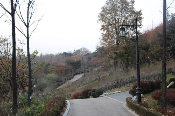 Explorando Namsan Park Medio Seúl Otoño —  Fotos de Stock
