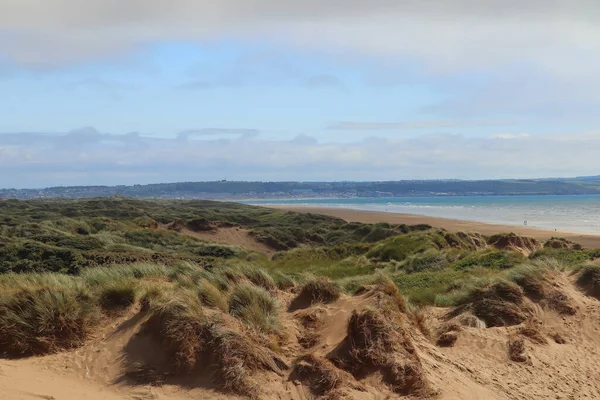 Devon kırsalında geziniyor.