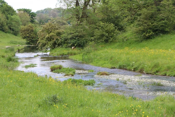 Erkunden Sie Die Landschaft Des Peak District Großbritannien — Stockfoto