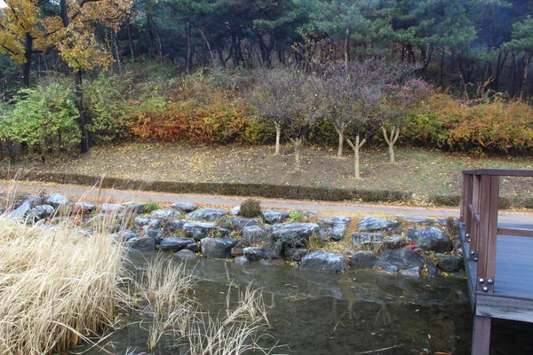 Zwiedzanie Parku Namsan Środku Seulu Jesienią — Zdjęcie stockowe