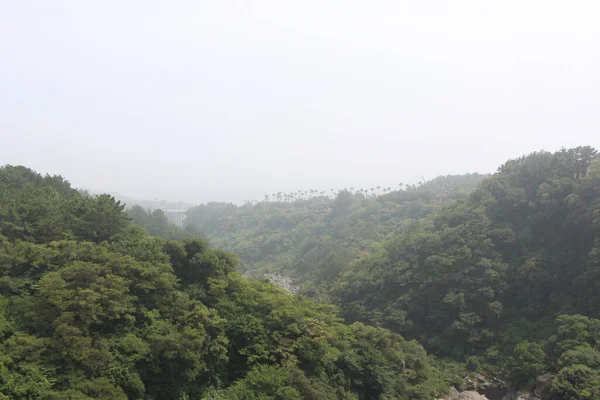 Florestas Torno Cheonjeyeon Falls Ilha Jeju Coreia Sul — Fotografia de Stock