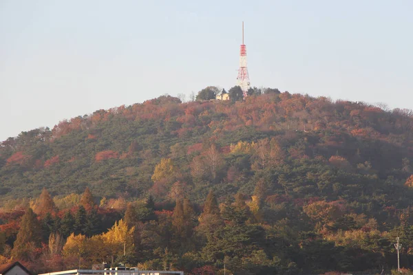 Kilátás Szöul Namsan Park Dél Koreában — Stock Fotó