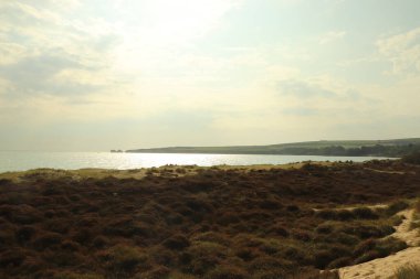 Batmakta olan yaz güneşinde Purbeck Adası plajları