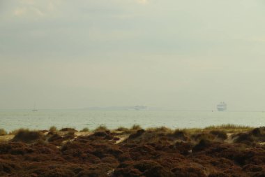 Batmakta olan yaz güneşinde Purbeck Adası plajları