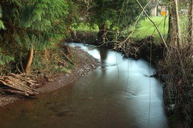 Dulas Brook, Herefordshire 'da sonbaharda Ewyas Harold' da koşuyor.