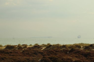 Batmakta olan yaz güneşinde Purbeck Adası plajları