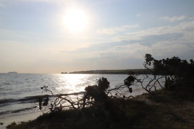 Batmakta olan yaz güneşinde Purbeck Adası plajları