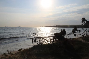 Batmakta olan yaz güneşinde Purbeck Adası plajları