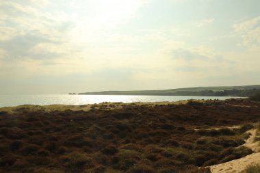 Batmakta olan yaz güneşinde Purbeck Adası plajları