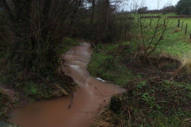 Dulas Brook, Herefordshire 'da sonbaharda Ewyas Harold' da koşuyor.