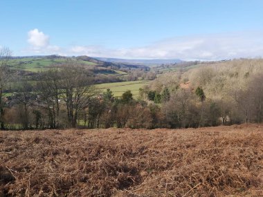Burada kış güneşinin altında güneşlenen tepeler ve vadiler