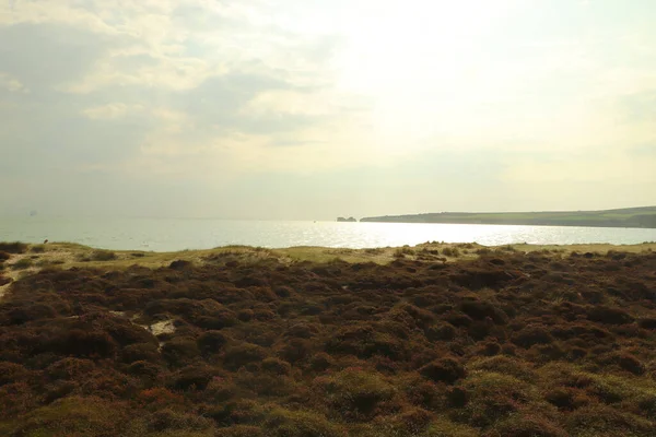 Batmakta Olan Yaz Güneşinde Purbeck Adası Plajları — Stok fotoğraf