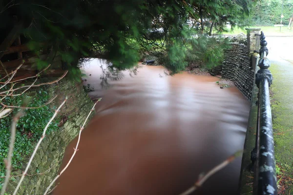 Dulas Brook Running Ewyas Harold Autumn Herefordshire — Stock Photo, Image