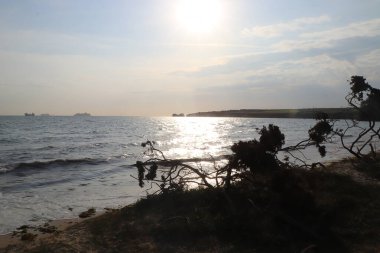 Batmakta olan yaz güneşinde Purbeck Adası plajları