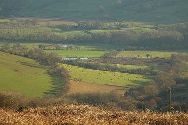 Burada kış güneşinin altında güneşlenen tepeler ve vadiler