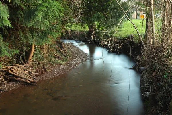 Dulas Brook, Herefordshire 'da sonbaharda Ewyas Harold' da koşuyor.