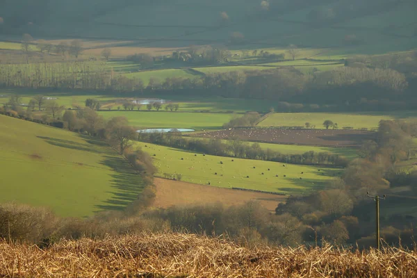 Burada kış güneşinin altında güneşlenen tepeler ve vadiler