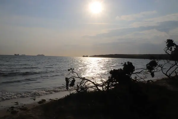 Пляжі Острова Пурбек Під Палючим Літнім Сонцем — стокове фото