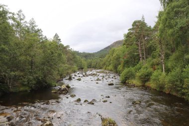 Kuzey İskoçya 'nın bozkırlarında ve göllerinde geziniyor.