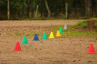 Kuzey İskoçya 'nın bozkırlarında ve göllerinde geziniyor.