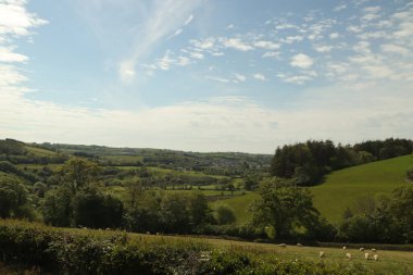 Yaz şatosunun ihtişamında
