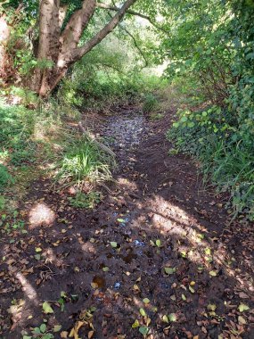 Lea nehrinin etrafından Hertford 'a kadar park et.