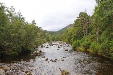 Kuzey İskoçya 'nın bozkırlarında ve göllerinde geziniyor.
