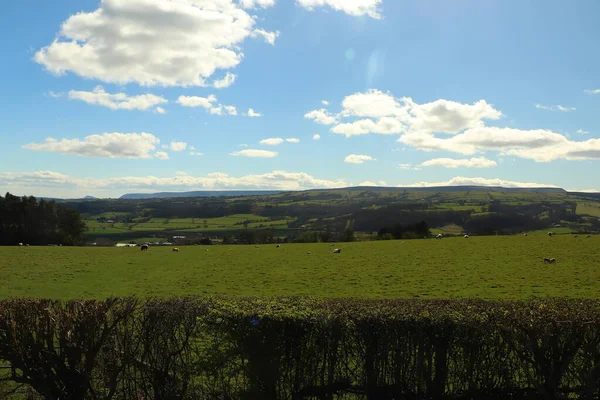 Herefordshire Λόφους Και Κοιλάδες Απολαμβάνοντας Χειμώνα Ήλιο — Φωτογραφία Αρχείου