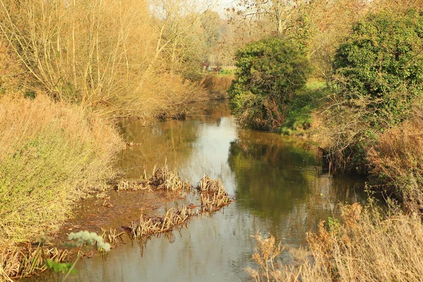 Parkleben Rund Den Fluss Lea Durch Hertford England — Stockfoto