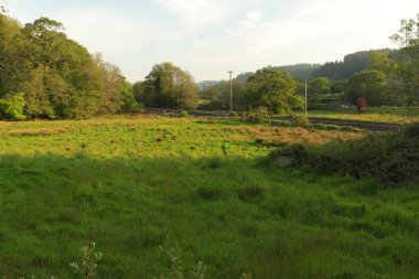 Güney Devon 'da patikaların etrafında dolaşıyorum.