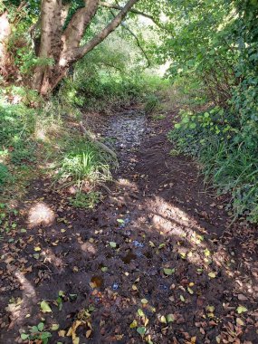 Lea nehrinin etrafından Hertford 'a kadar park et.