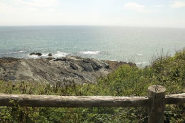 Güney Devon 'da patikaların etrafında dolaşıyorum.