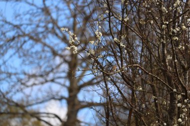 Burada kış güneşinin altında güneşlenen tepeler ve vadiler