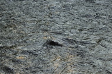 Güney Devon 'da patikaların etrafında dolaşıyorum.