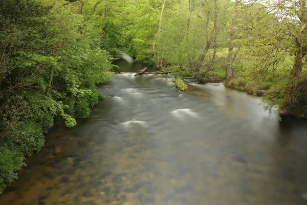 Går Runt Lederna Södra Devon — Stockfoto