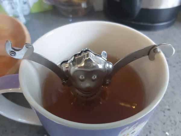 Macaco Pendurado Chá — Fotografia de Stock