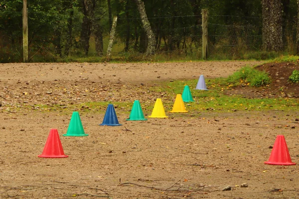 Kuzey İskoçya 'nın bozkırlarında ve göllerinde geziniyor.