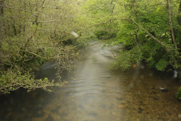 Går Runt Lederna Södra Devon — Stockfoto