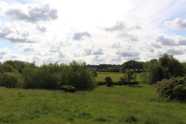Springtime walk to see the flora and fauna along the river Lea flowing through the meads nature reserve on the outskirts of hertford on the border of London